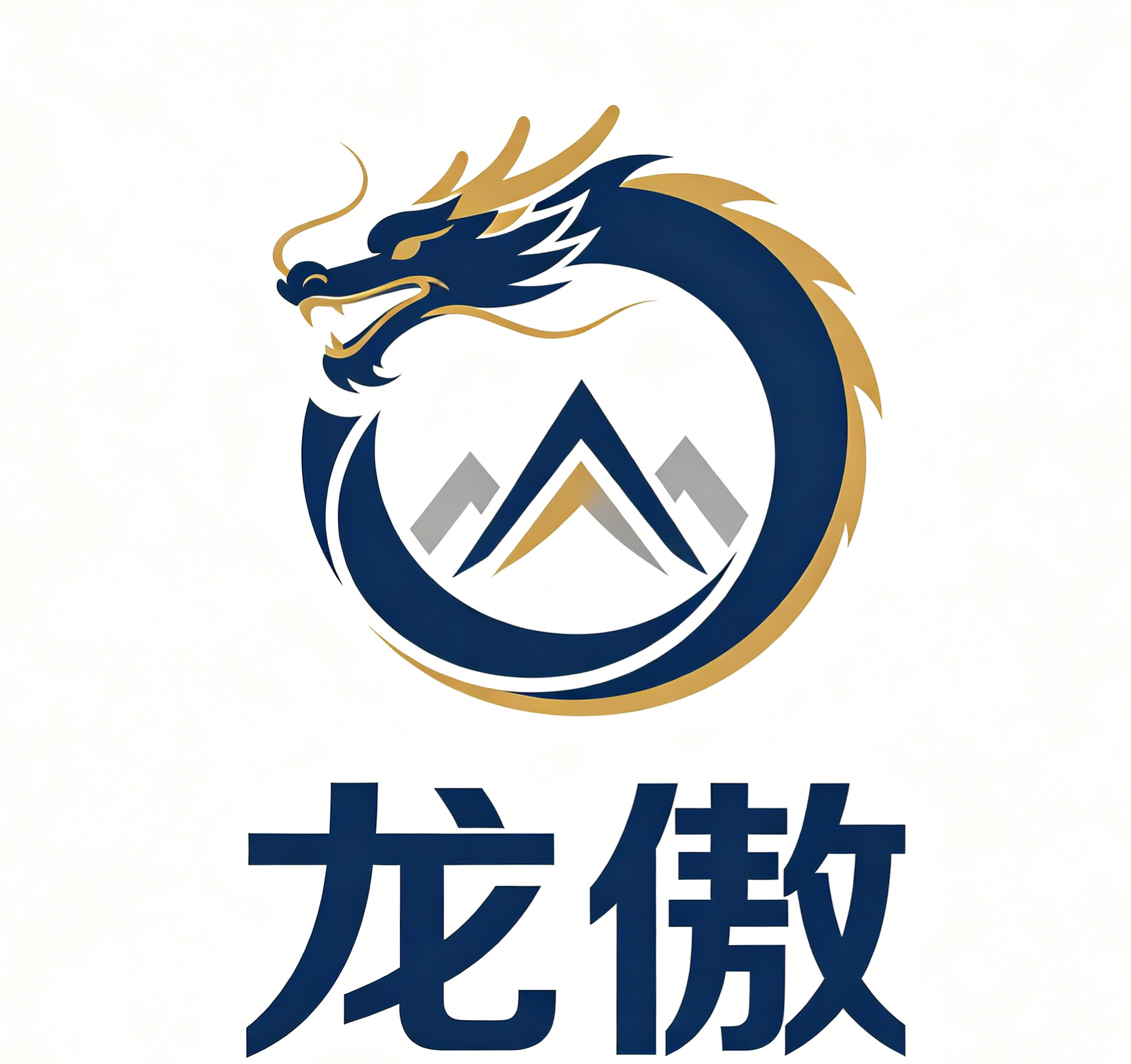 龙傲支付